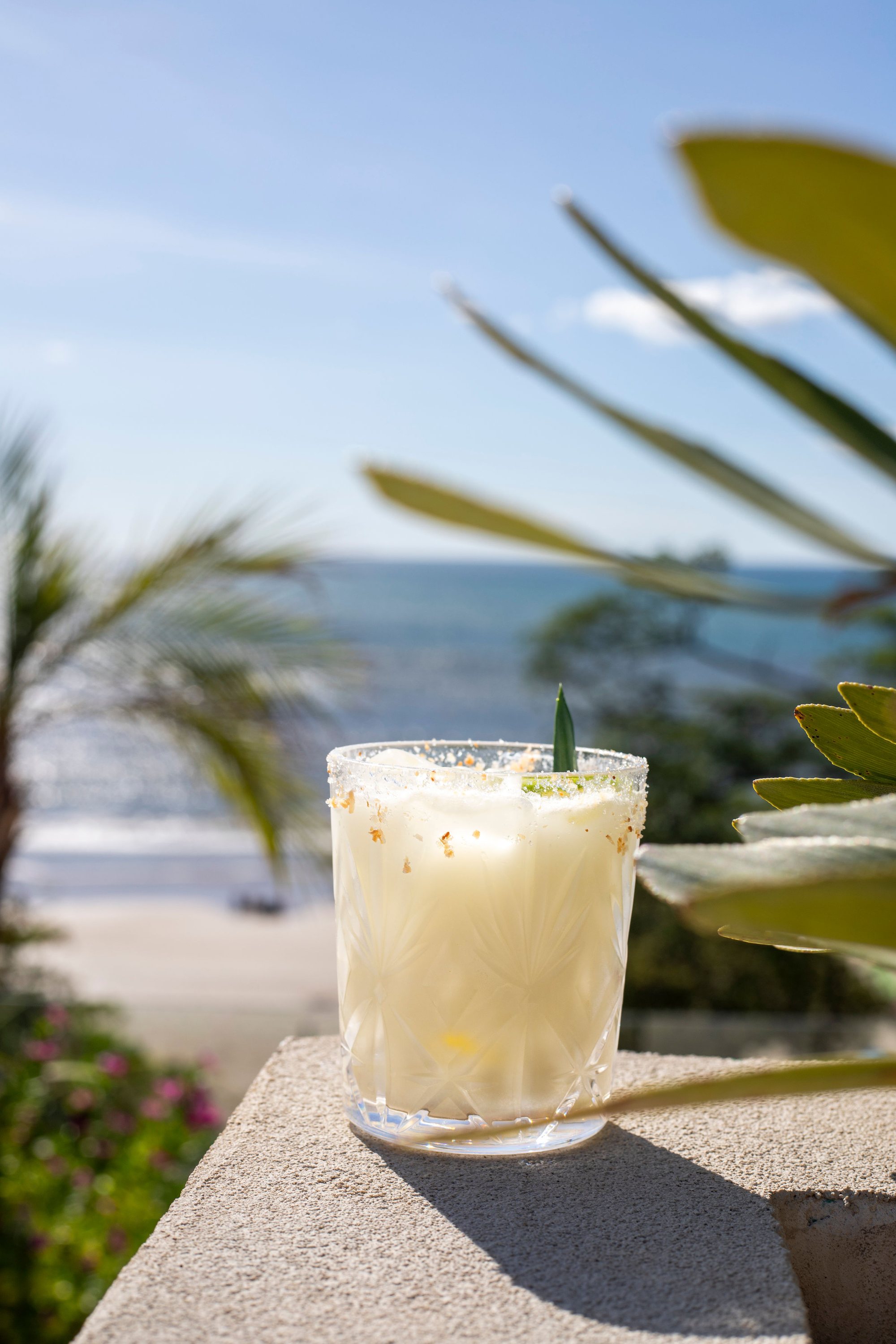 A mint cocktail at the edge of the rooftop pool