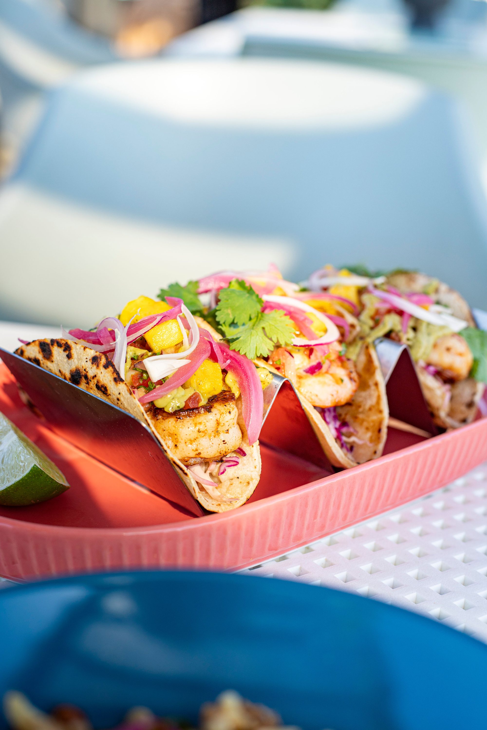 Rooftop tacos with fresh garnish
